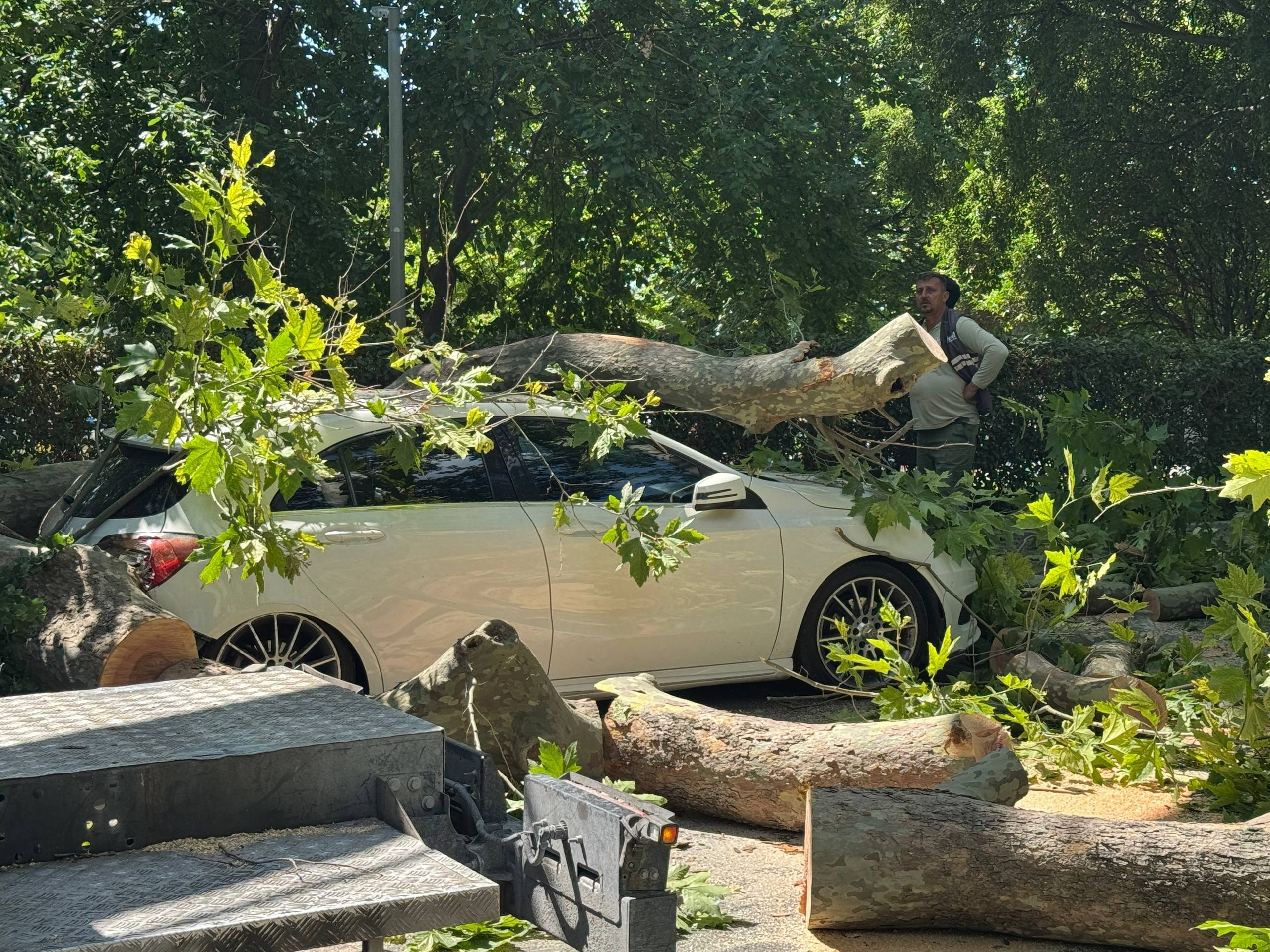 Küçükçekmece'de Ağaç Devrildi, Park Halindeki Araç Hasar Gördü