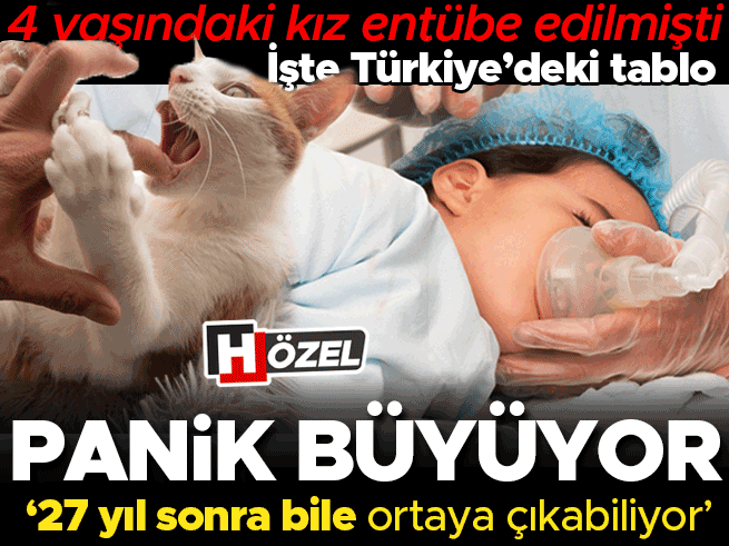 Kuduz Paniği Büyüyor: 4 Yaşındaki Kız Entübe Edildi, Uzmanlar Uyardı