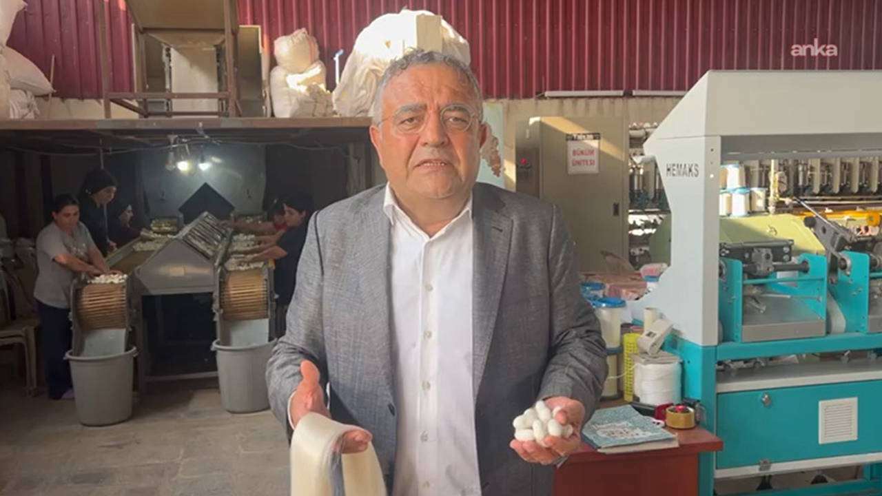 Kulp'ta ipek kozası üreticilerine destek çağrısı: Türkiye'nin yüzde 70'i burada