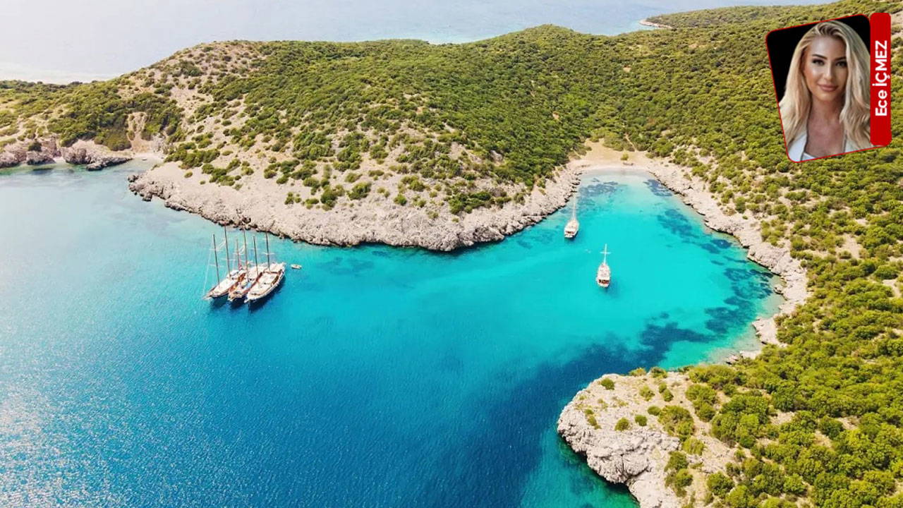 Kültür ve Turizm Bakanlığı orman arazilerini turizme açıyor