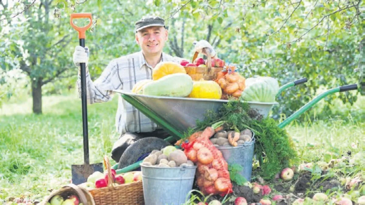 Kuraklık Bitti, Bereket Başladı! Tahıl ve Meyvede Rekor Artış Bekleniyor