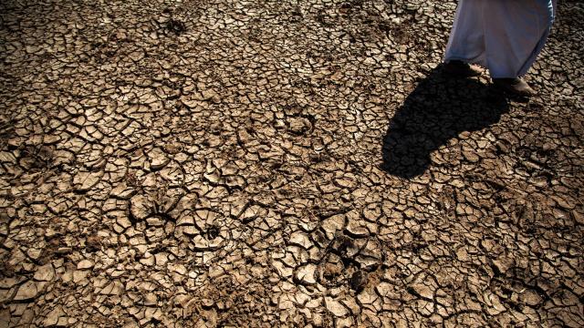 Kuraklık riski bölgesel olarak sürüyor: Tekirdağ ve Konya uyarısı