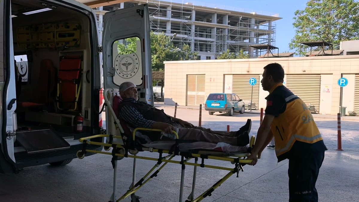 Kurban Bayramı'nda acemi kasaplar hastanelik oldu