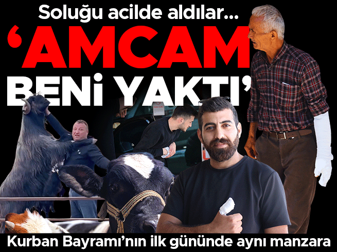 Kurban Bayramı'nda acemi kasaplar hastanelik oldu