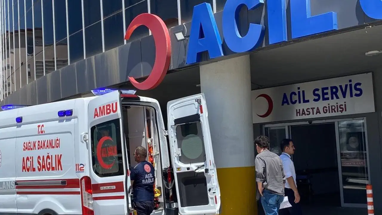 Kurban Bayramı'nda İstanbul'da 767 kişi yaralandı