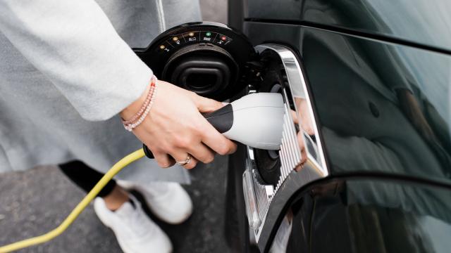 Küresel Elektrikli Araç Satışları Temmuzda Yüzde 9 Arttı