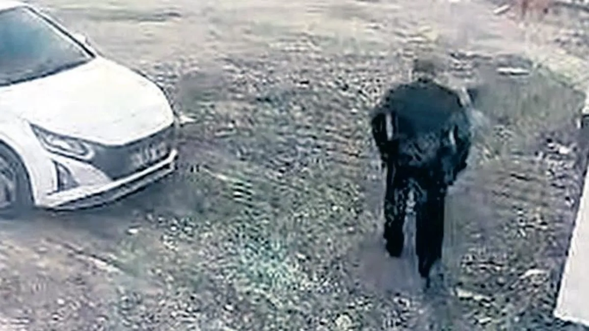 Kuriş Suç Örgütü'nün Doğu Afrika Sorumlusu Yurt Dışına Kaçtı