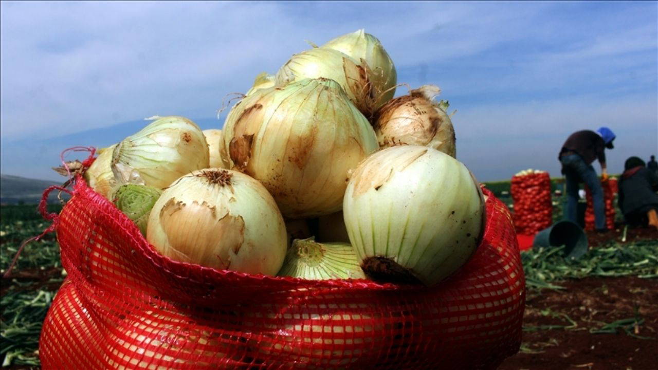 Kuru soğan yine şampiyon: Market fiyatlarında son durum