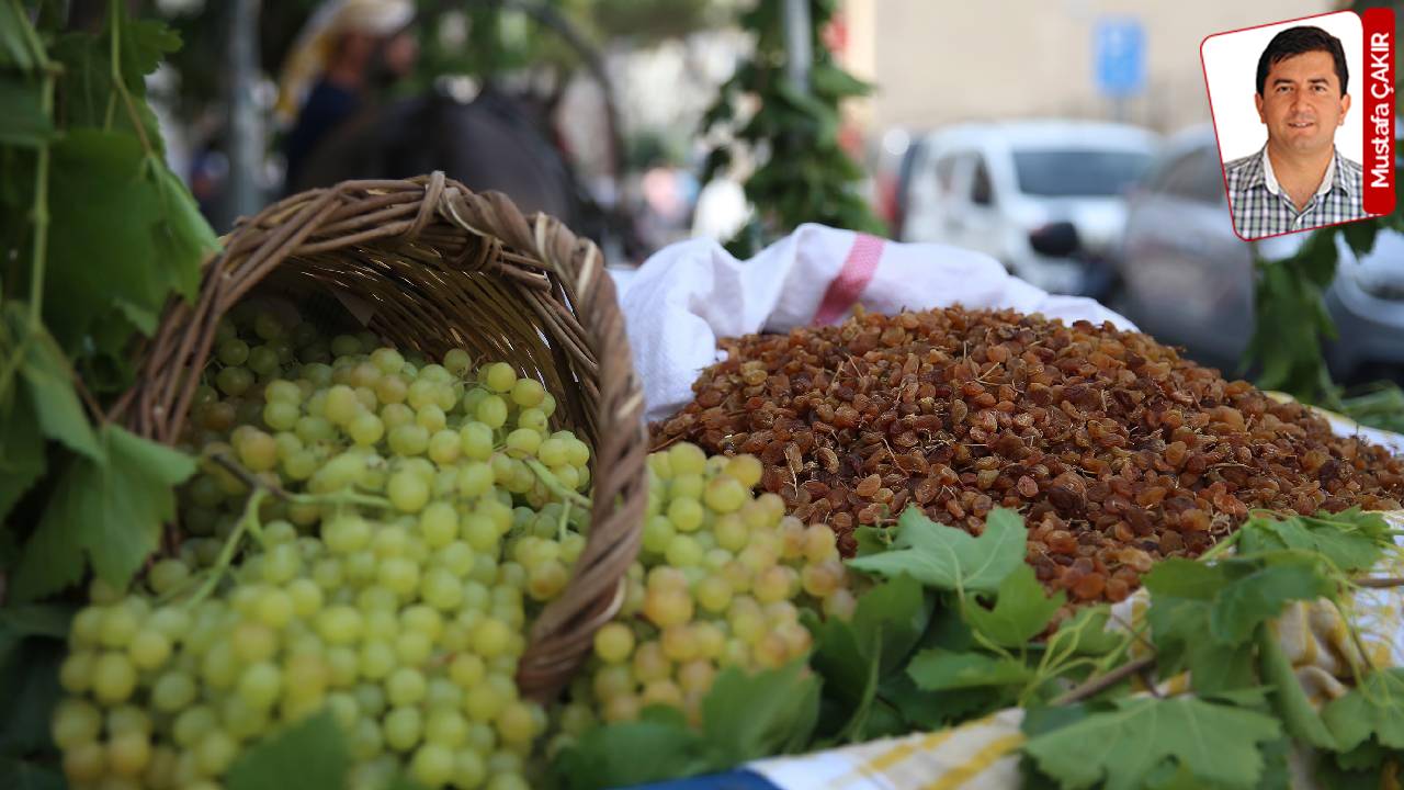 Kuru Üzüm Fiyat Şoku: İktidardan Geçen Yılın Altında Açıklama