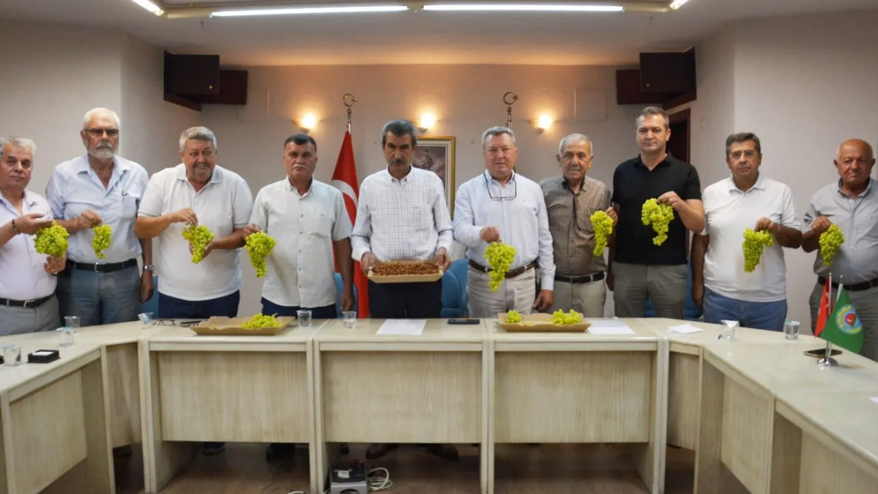 Kuru Üzümde Tavan Fiyat: Üreticinin Beklentisi 120 TL Üzeri