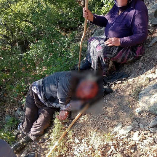 Kuşburnu Toplarken 30 Metreden Düşen Adam Kurtarıldı
