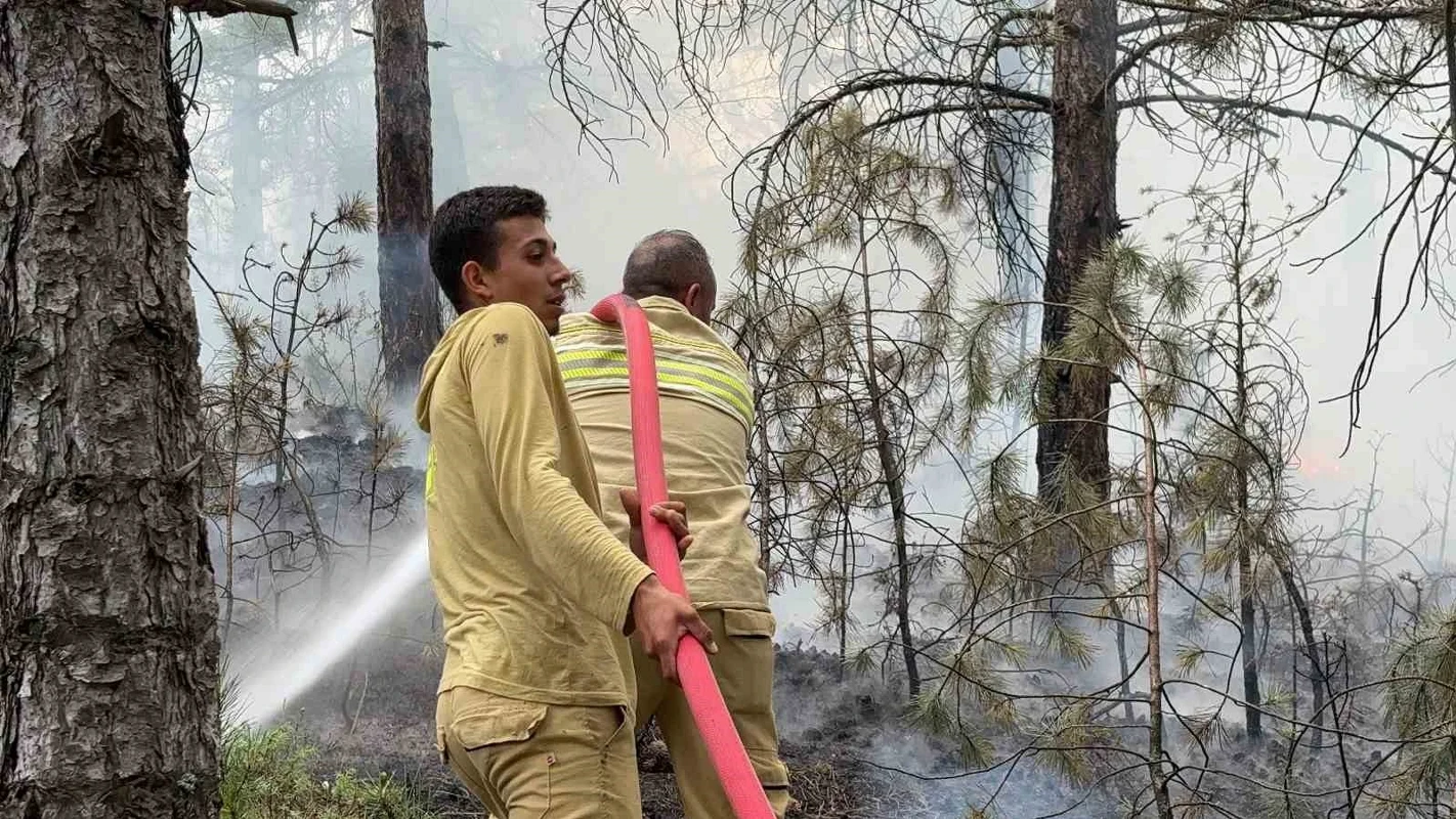 Kütahya’da orman yangını havadan ve karadan söndürüldü