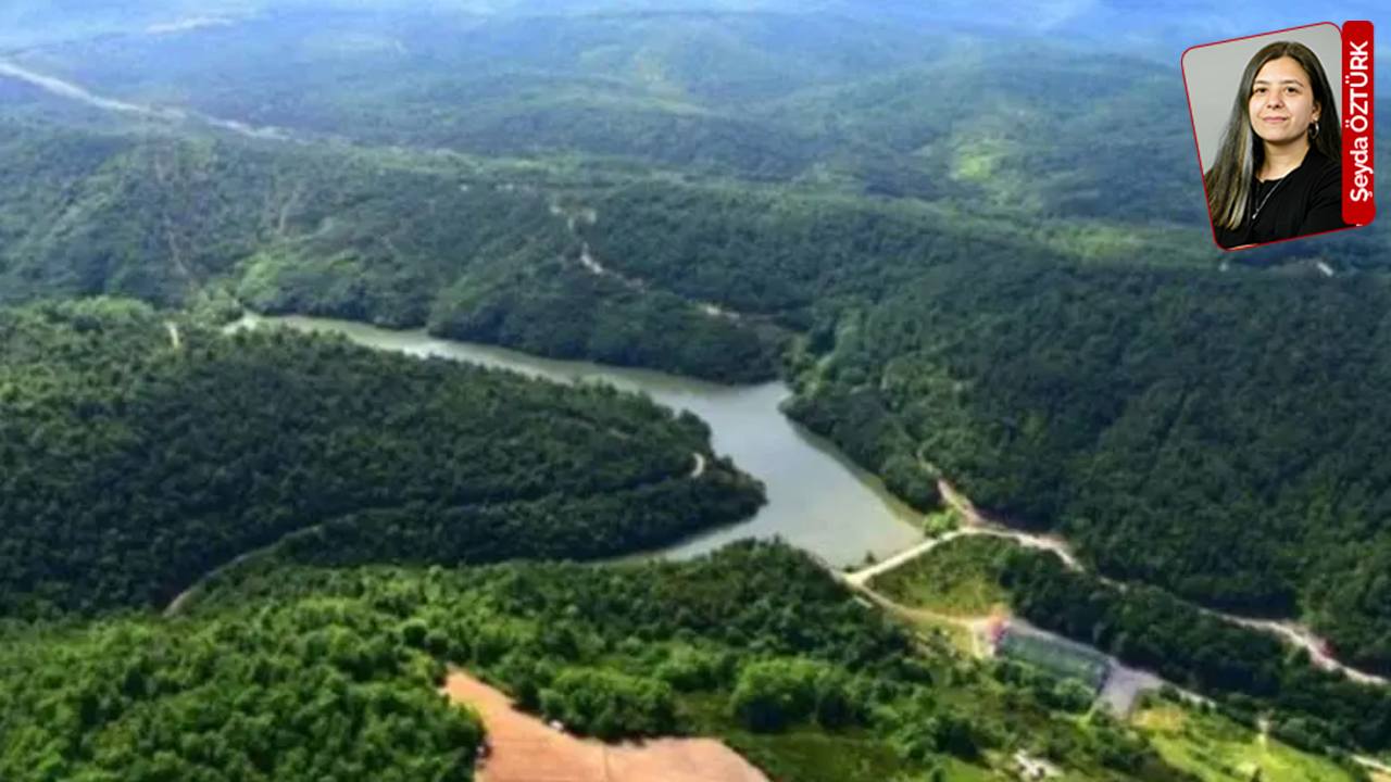 Kuzey Ormanları'ndaki Demir Yolu Projesi İçin Kritik Toplantı: 44 Bin Ağaç Tehlikede
