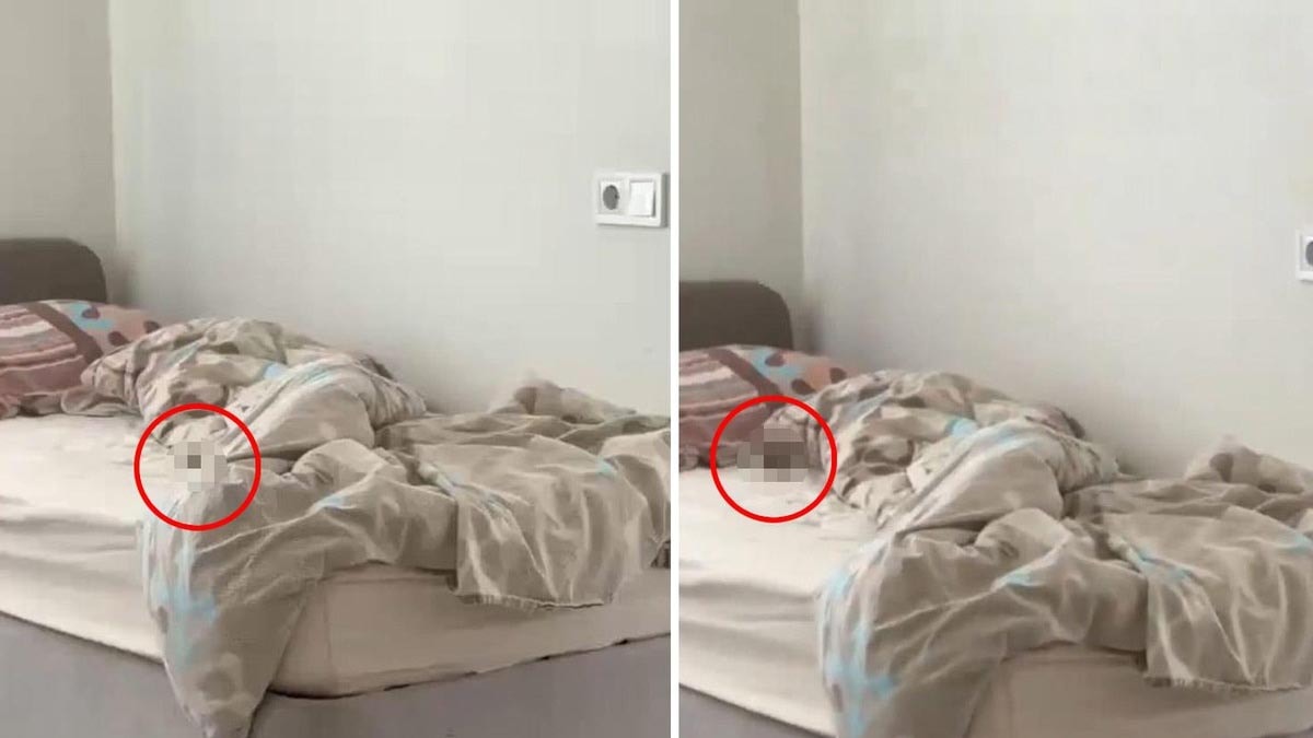 KYK Yurdu Görüntüsü Tartışma Yarattı: Yetkililer İnceleme Başlattı