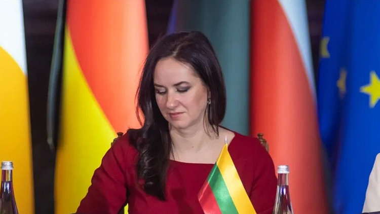 Litvanya Başbakanı'ndan Türkiye'ye NATO övgüsü