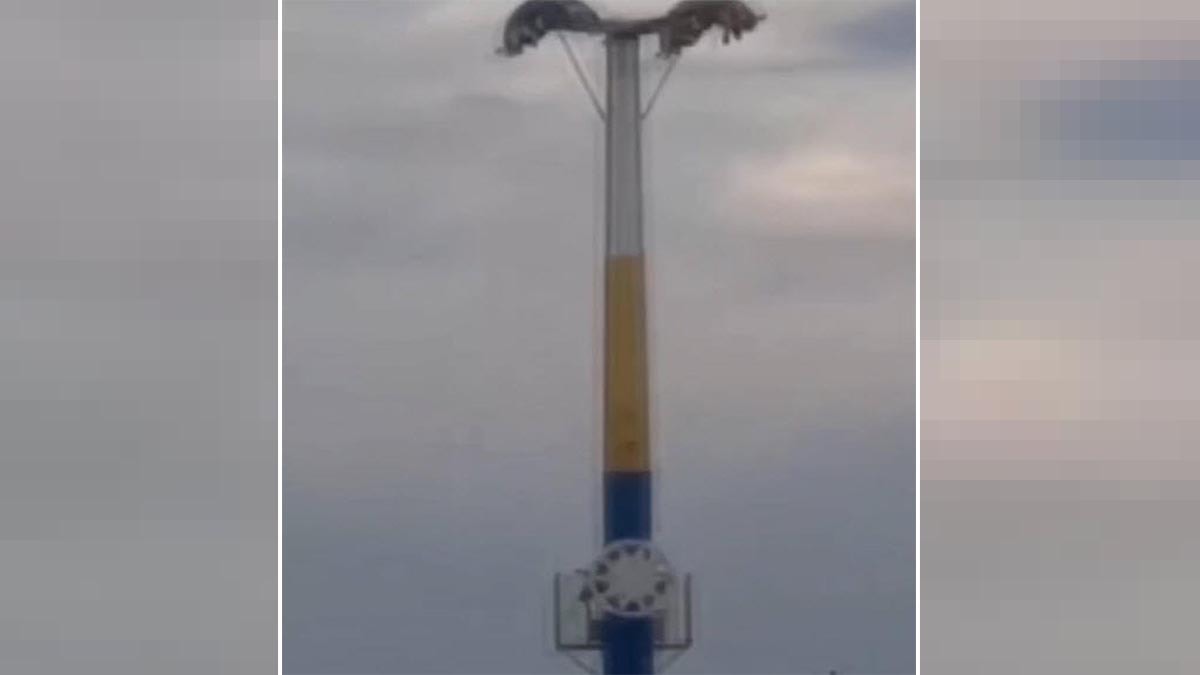 Lunaparkta teknik arıza: Vatandaşlar metrelerce yüksekte baş aşağı mahsur kaldı