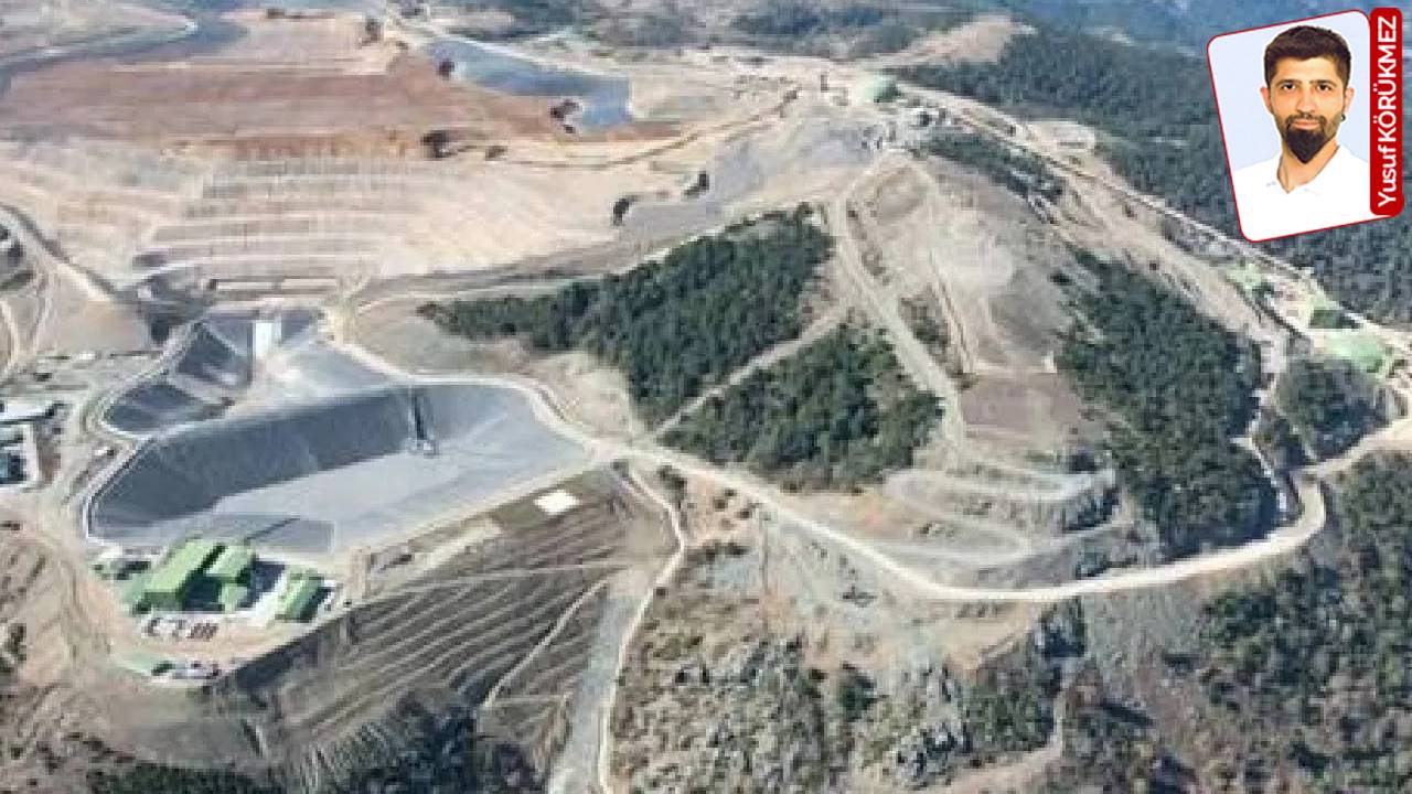 Madra Dağı'nda altın için 66 bin ağaç kesilecek: İktidarın gözde şirketine büyük vize