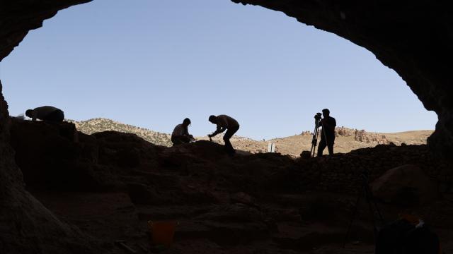 Mağara Duvarlarında Antik İnsan DNA'sı Keşfi Tarihe Işık Tutacak