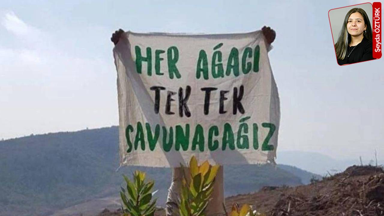 Mahkeme Kaz Dağları'na Maden İçin Durdurma Kararı Verdi