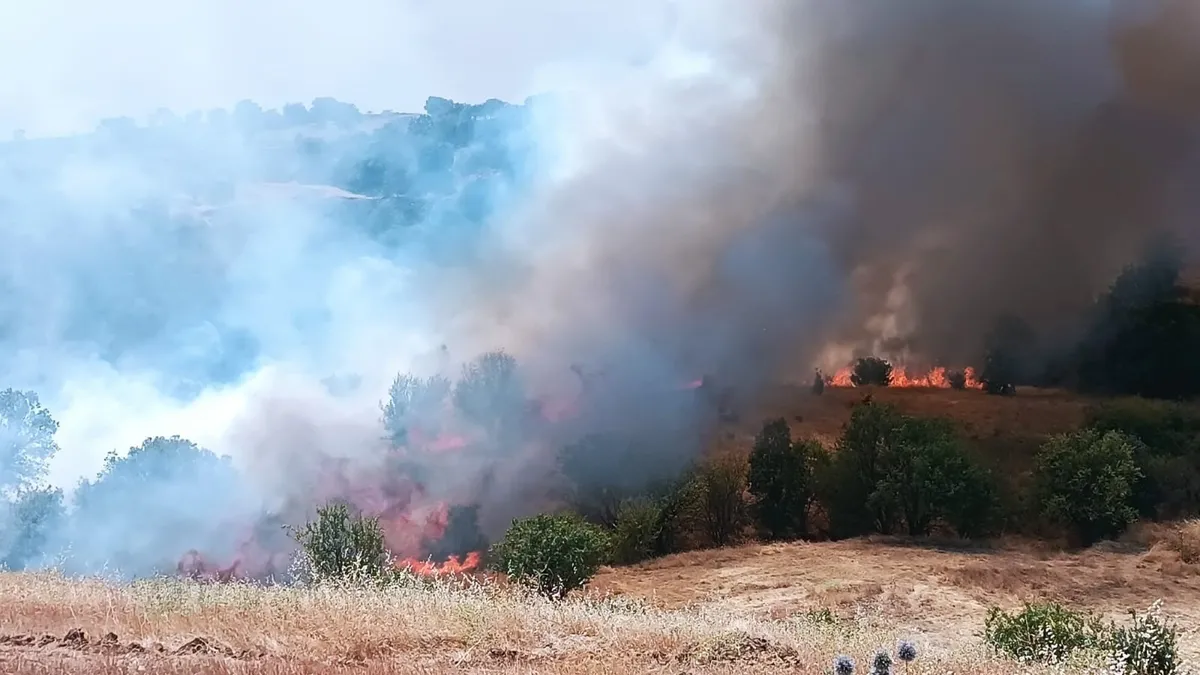 Malatya Pütürge ve Bolu Göynük'te Yangın Kontrol Altında