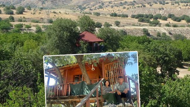 Malatya’da 150 Yıllık Meşe Ağacına Yaptığı Ev: Bir Daire Fiyatı