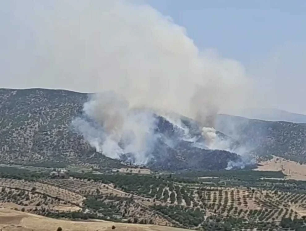 Malatya'da Orman Yangını: Rüzgarın Etkisiyle Genişleyen Alevlere Müdahale Sürüyor