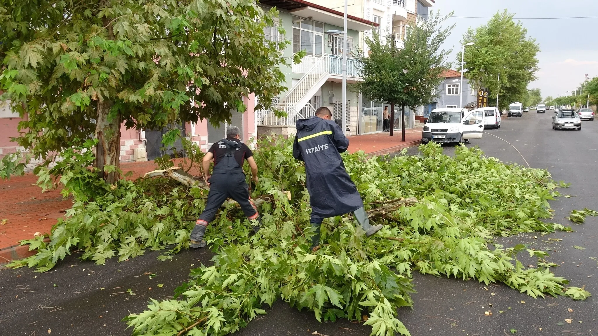 Malatya'da sağanak ve fırtına: Camlar kırıldı, ağaçlar devrildi