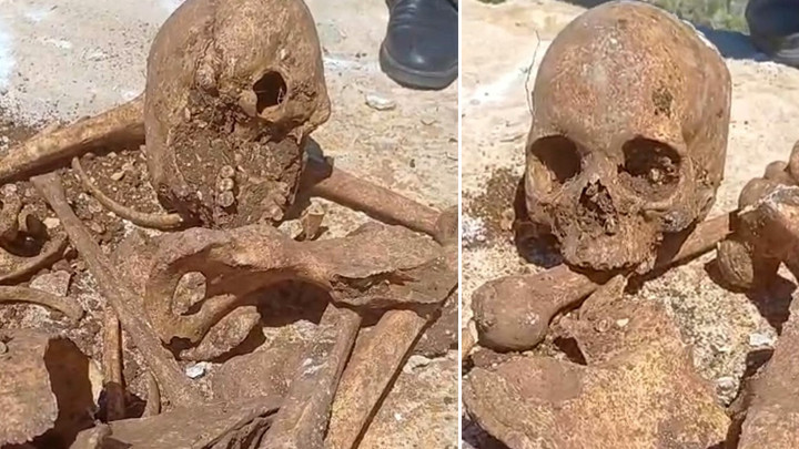Malatya'da temel kazısında insan kemikleri ve kafatası parçası bulundu