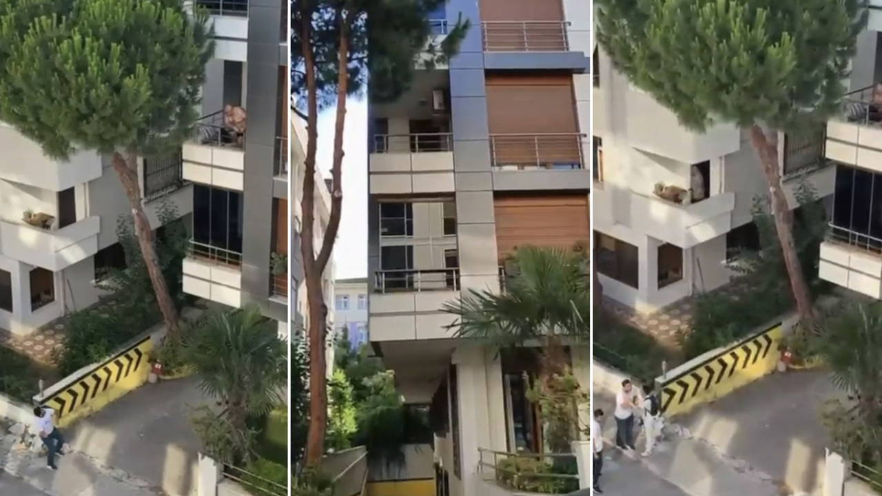 Maltepe'de şiddet iddiası mahalleliyi ayağa kaldırdı: Balkondaki şüpheliye taşlı protesto