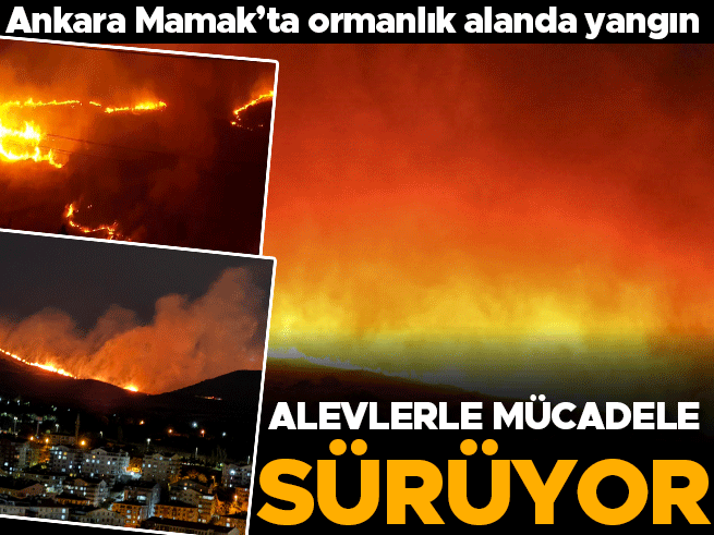 Mamak'ta Ağaçlık Alanda Yangın: Ekipler Seferber Oldu