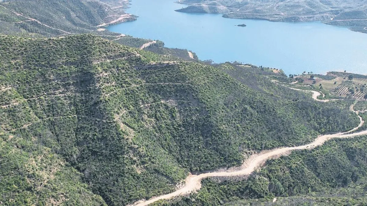 Manavgat 5 Yılda Yeşile Büründü: Yangın Sonrası Yeniden Doğuş