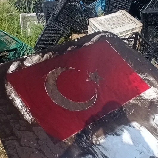 Manavgat'ta Yanan Kamyonet Söndürüldü, İtfaiyeciler Türk Bayrağını Temizledi