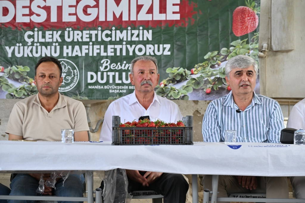 Manisa Büyükşehir'den çilek üreticisine yüzde 75 hibeli malç naylonu desteği