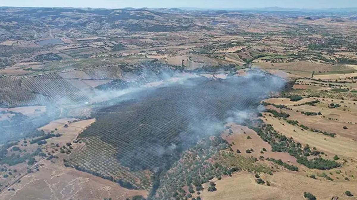 Manisa Kula'da orman yangını: 15 hektar kül oldu