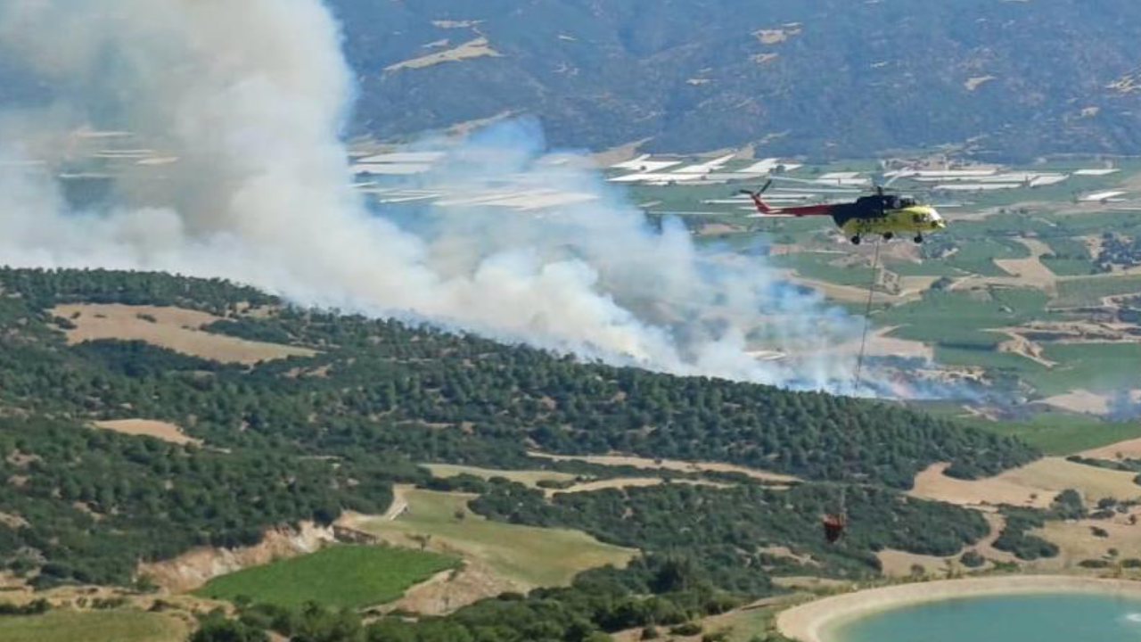 Manisa ve Muğla orman yangınları kontrol altına alındı