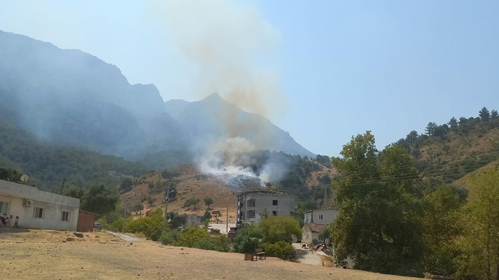 Manisa'da Orman Yangını: Ekipler Hızla Müdahale Ediyor