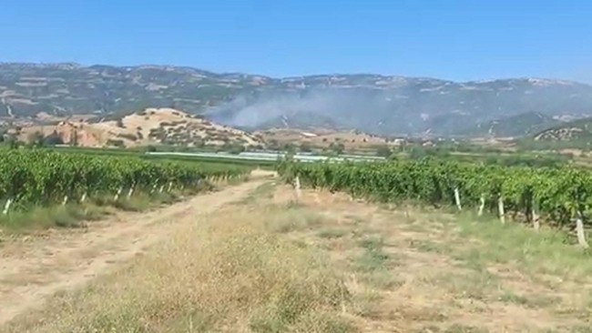 Manisa Sarıgöl'de maki yangını ormana sıçradı