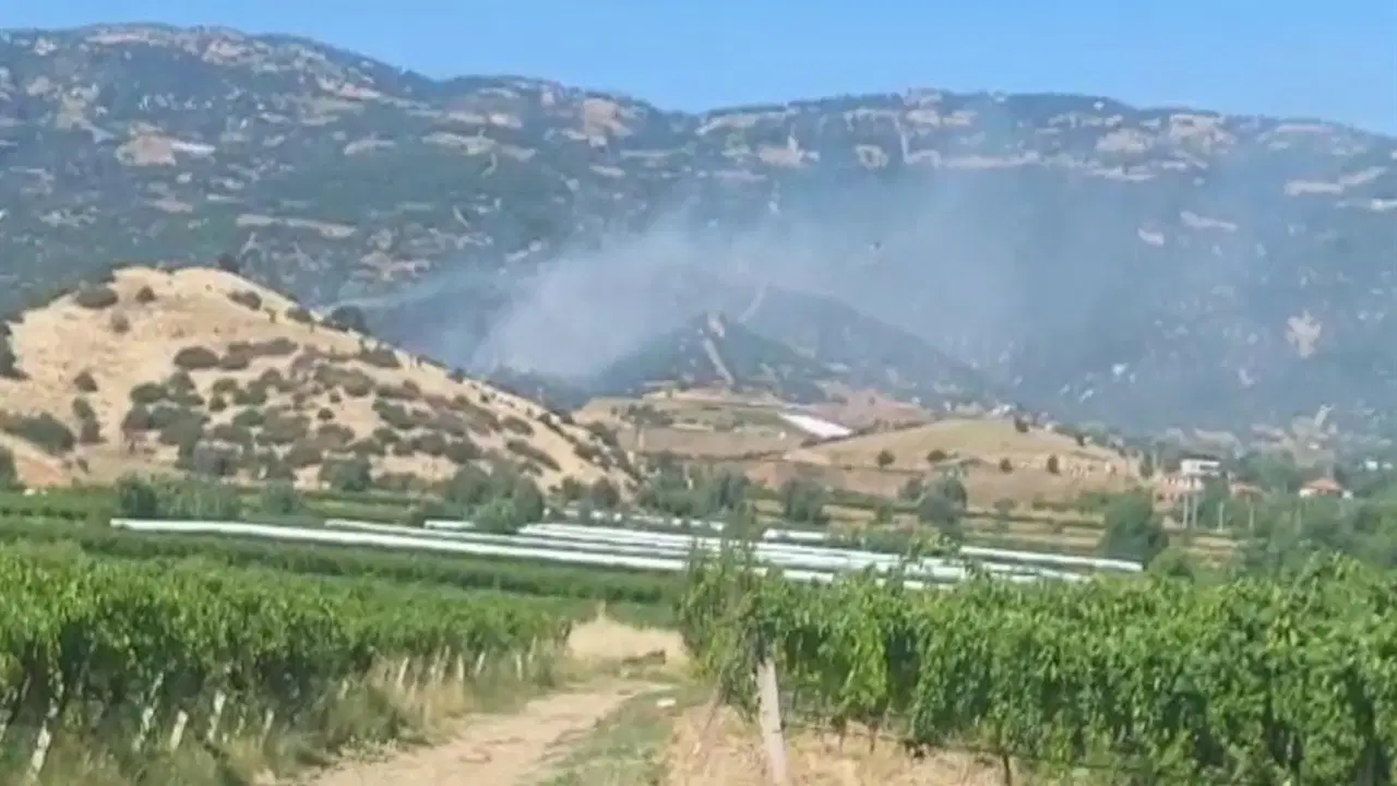 Manisa Sarıgöl'de maki yangını ormana sıçradı, ekipler seferber oldu