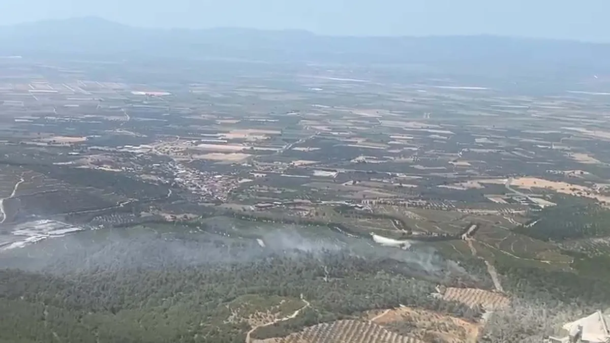 Manisa Soma'da Orman Yangını: Havadan ve Karadan Müdahale Sürüyor