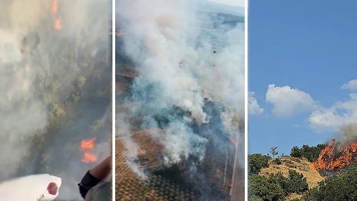 Manisa Soma'da Orman Yangını Kontrol Altına Alındı