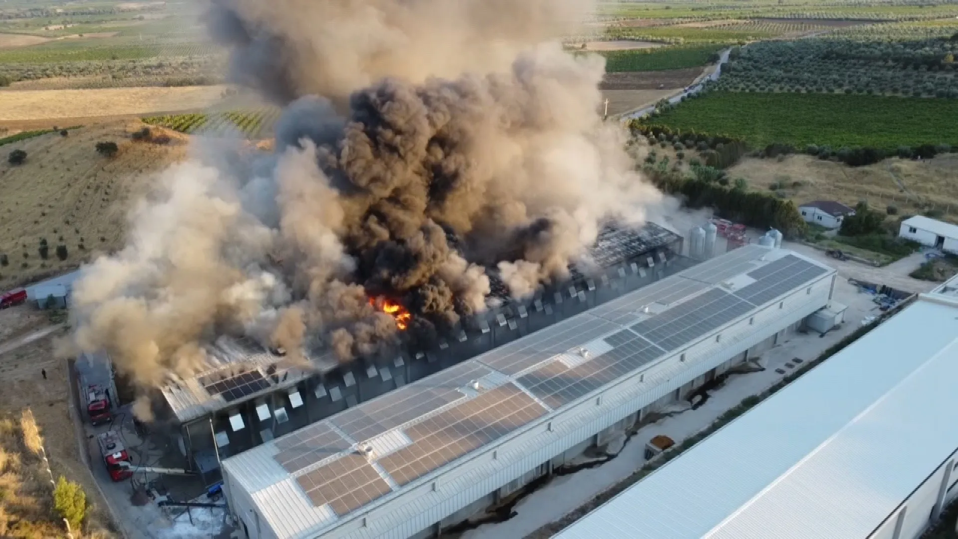 Manisa Turgutlu'da Yumurta Üretim Tesisinde Yangın: Milyonlarca Liralık Hasar