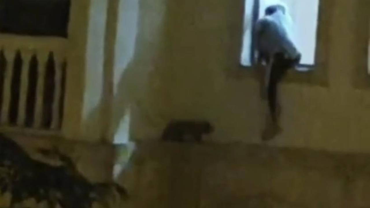 Mardin'de mahsur kalan kedi vatandaşlar tarafından kurtarıldı