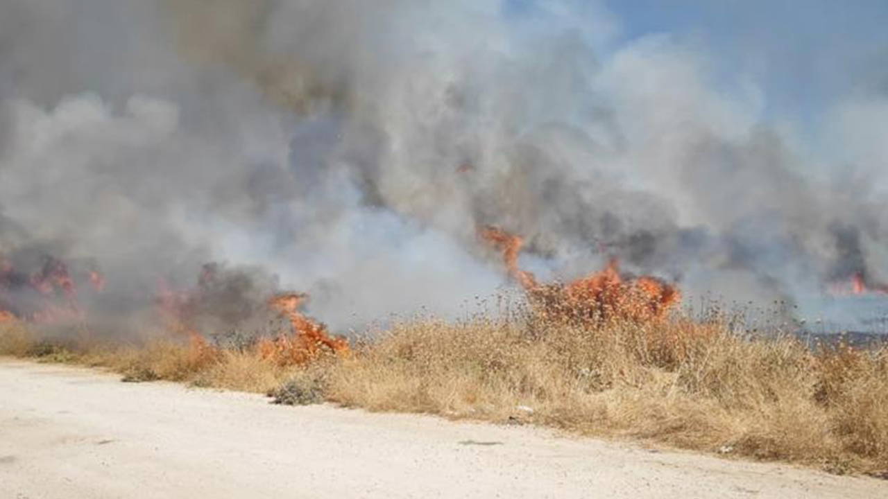 Mardin Nusaybin'de Anız Yangını: Ekipler Hızla Müdahale Etti