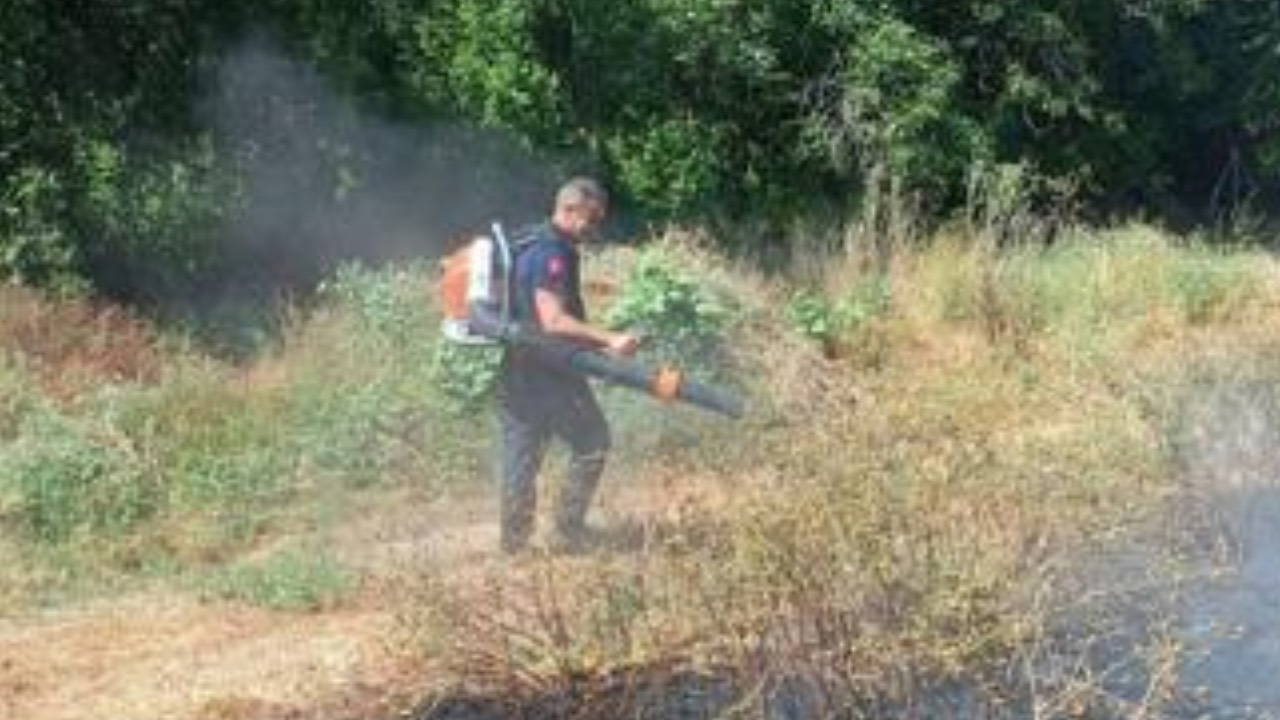 Mardin'deki Yangınlar Kontrol Altına Alındı: 3 İlçede Müdahale