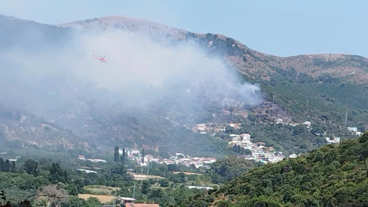 Marmara Adası'nda Orman Yangını: 1 Kişi Gözaltında
