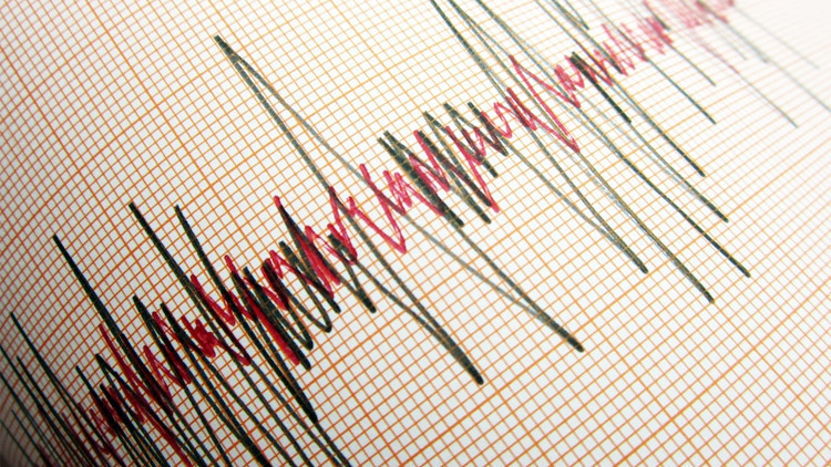 Marmara Denizi'nde 3.6 büyüklüğünde deprem paniği