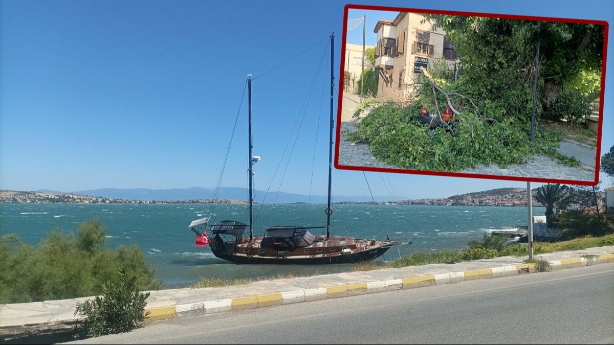 Marmara ve Ege'de Fırtına: Ağaçlar Söküldü, Çatılar Uçtu