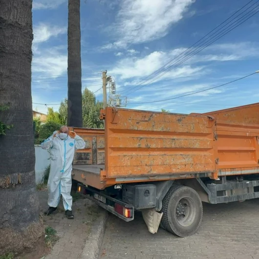 Marmaris'te Çöp Ev Alarmı: 1 Kamyon Atık ve 30 Kedi Kurtarıldı
