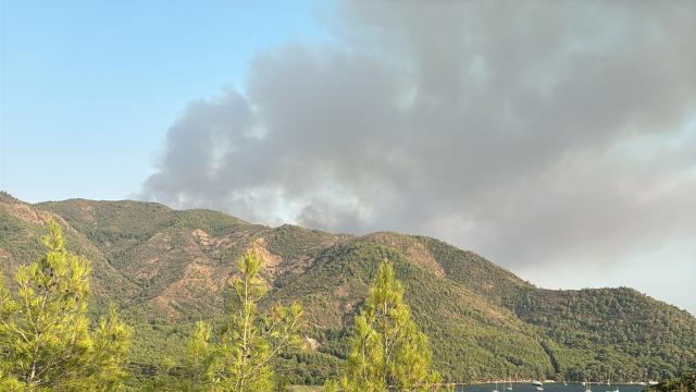 Marmaris'teki orman yangını ikinci günün sonunda kontrol altına alındı