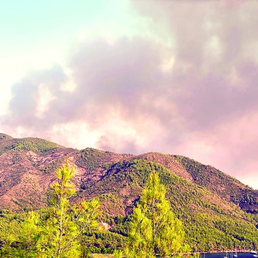 Marmaris'teki Orman Yangını Kontrol Altına Alındı